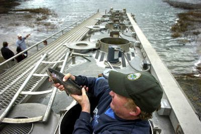  Chuck Thrap, with the Washington Department of Fish and Wildlife, transports about 2,600 rainbow trout to Deer Lake on Wednesday. 
 (Photos by Jed Conklin / The Spokesman-Review)