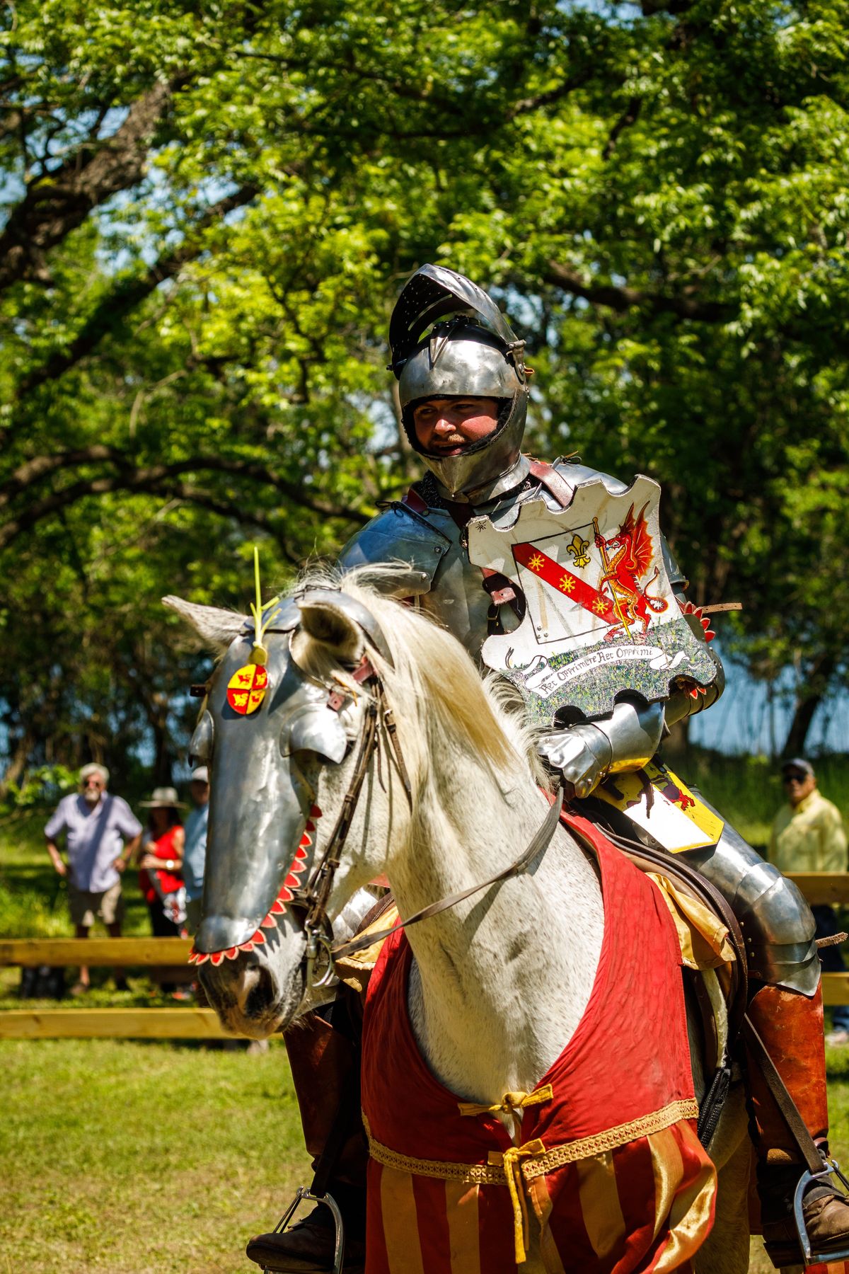 Spokane Jouster Champion Of The World - July 24, 2019 