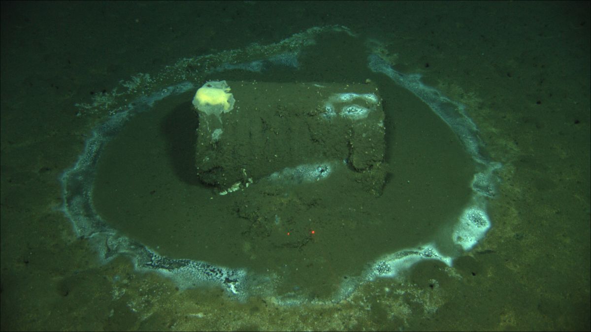 In this 2011 image provided by the University of California Santa Barbara, a barrel sits on the seafloor near the coast of Catalina Island, Calif. Marine scientists say they have found what they believe to be as many as 25,000 barrels that possibly contain DDT dumped off the Southern California coast near Catalina Island.  (David Valentine)