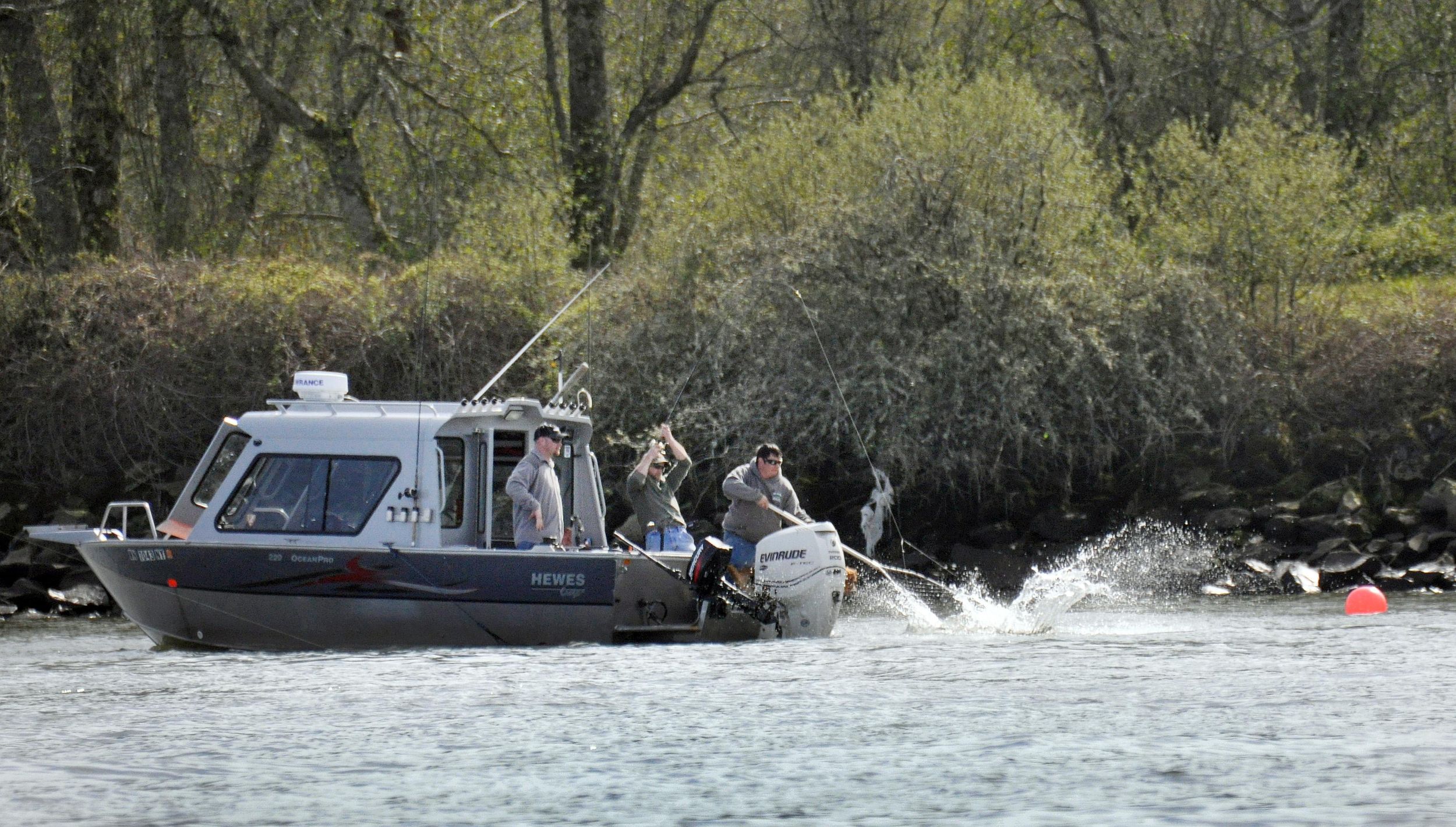 Idaho spring chinook season comes to close The SpokesmanReview