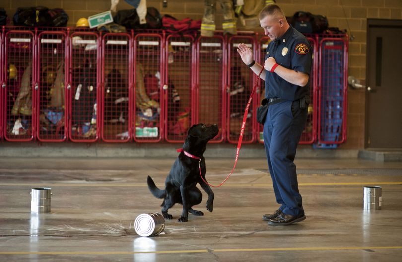 During a media demonstration at Valley Fire Station 8 on Monday, Spokane Valley Fire Department fire investigator Rick Freier shows how his K-9 partner Mako, an arson dog, can sniff out gasoline and other liquid accelerants used by arsonists.  (Colin Mulvany)