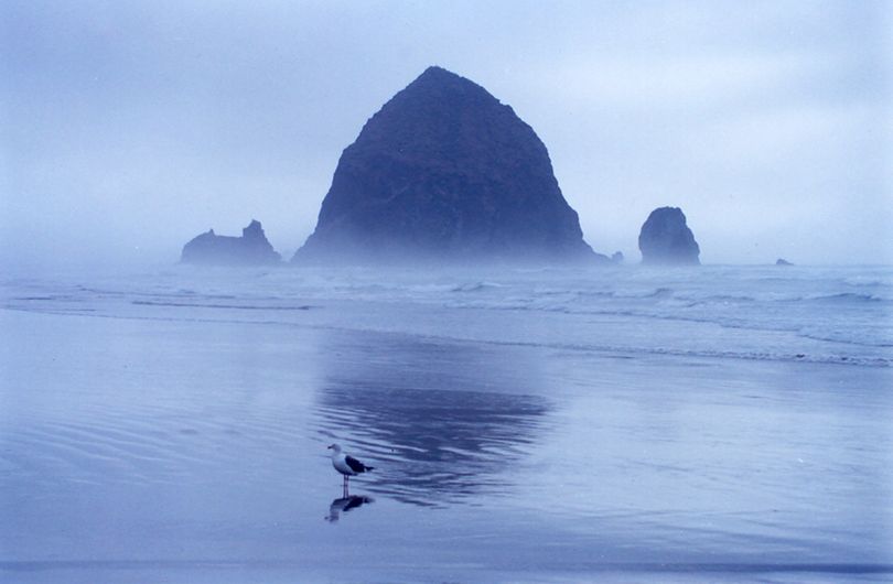 Waves powered by winter storms cleanse the sand for beachcombers along the Oregon Coast, including Cannon Beach.