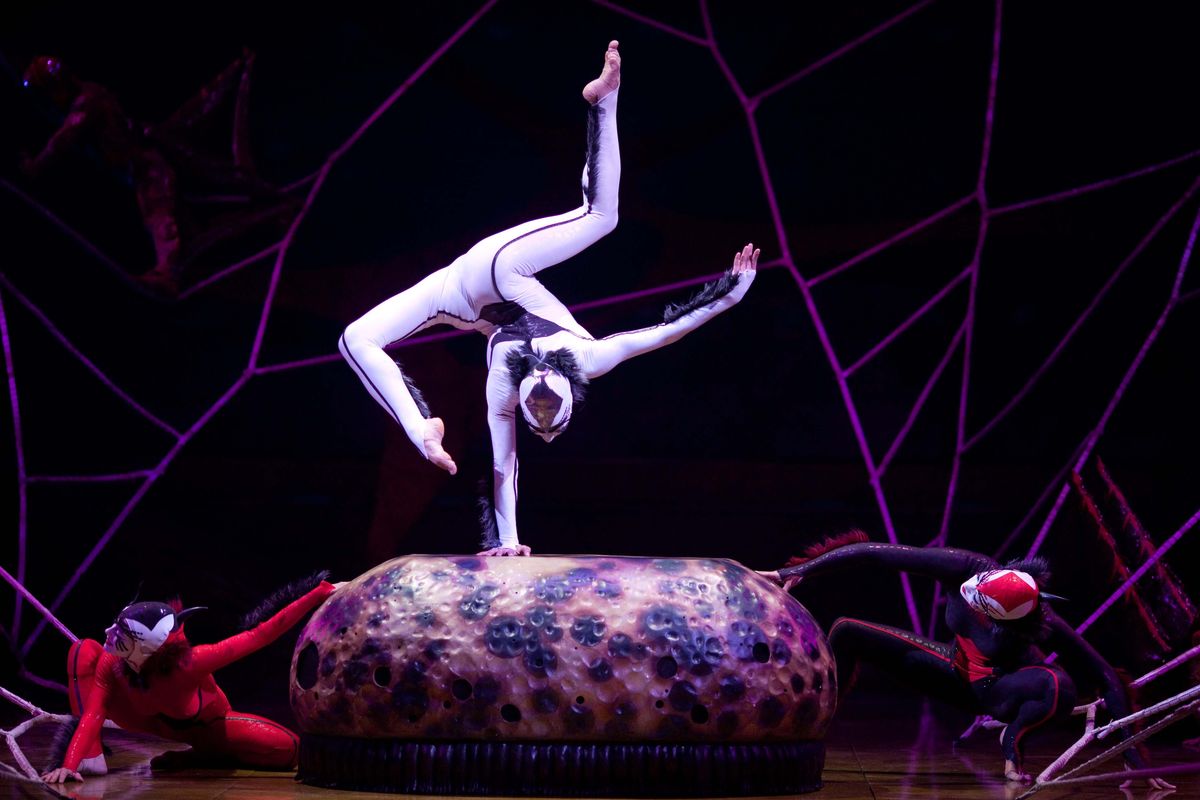 Cirque du Soleil returns to Seattle next week with a brand new show