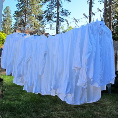 White cotton shirts dried in the sun make for a relaxed and greener summer wardrobe
 (Cheryl-Anne Millsap / Down to Earth NW Correspondent)
