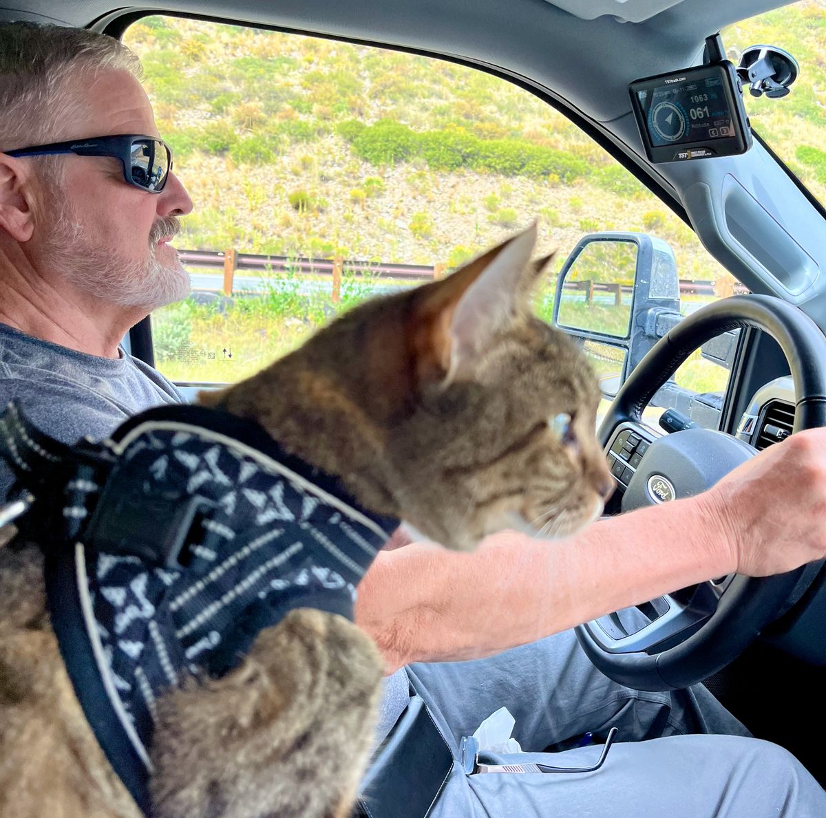 Dave Palmer at the wheel with Lucy the cat keeping watch. (Courtesy of the Palmers)