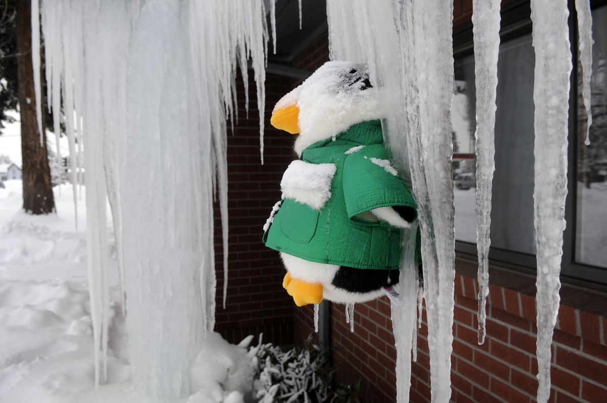 Firefighters at Spokane Fire Department Station 3 attached a stuffed animal to an icicle  near the front entrance of the building at Ash and Indiana. (Dan Pelle / The Spokesman-Review)