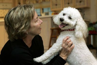 
Margaret Ragi holds Curry, a 5-year-old bichon frise, at her home in Upper Saddle River, N.J. Curry recently recovered from the canine influenza virus. 
 (Associated Press / The Spokesman-Review)