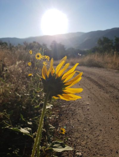 After a hot and parched summer, what will September bring?  (Linda Weiford/For The Spokesman-Review)