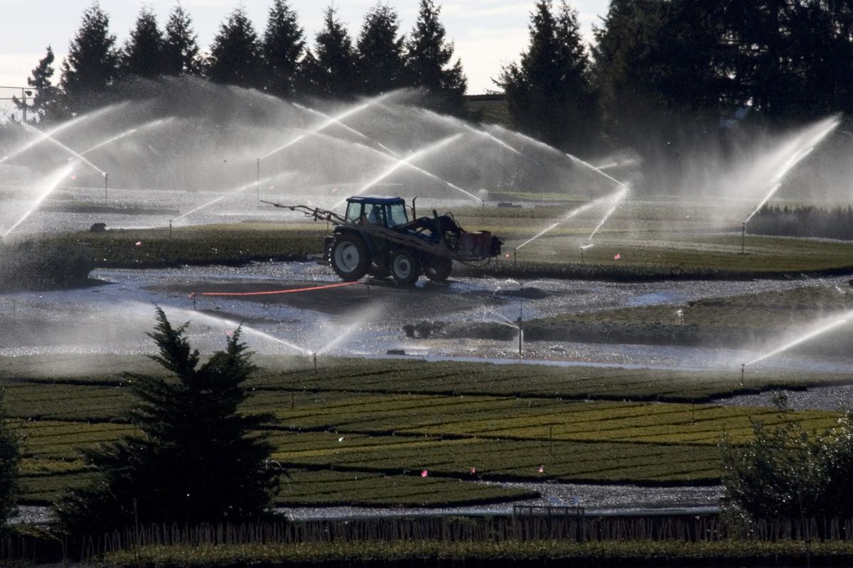 Fields of nursery stock are watered near Boring, Ore. Across the country, the nursery and landscaping trades took a direct hit when housing starts crashed and the economy flattened. Associated Press photos (Associated Press photos)