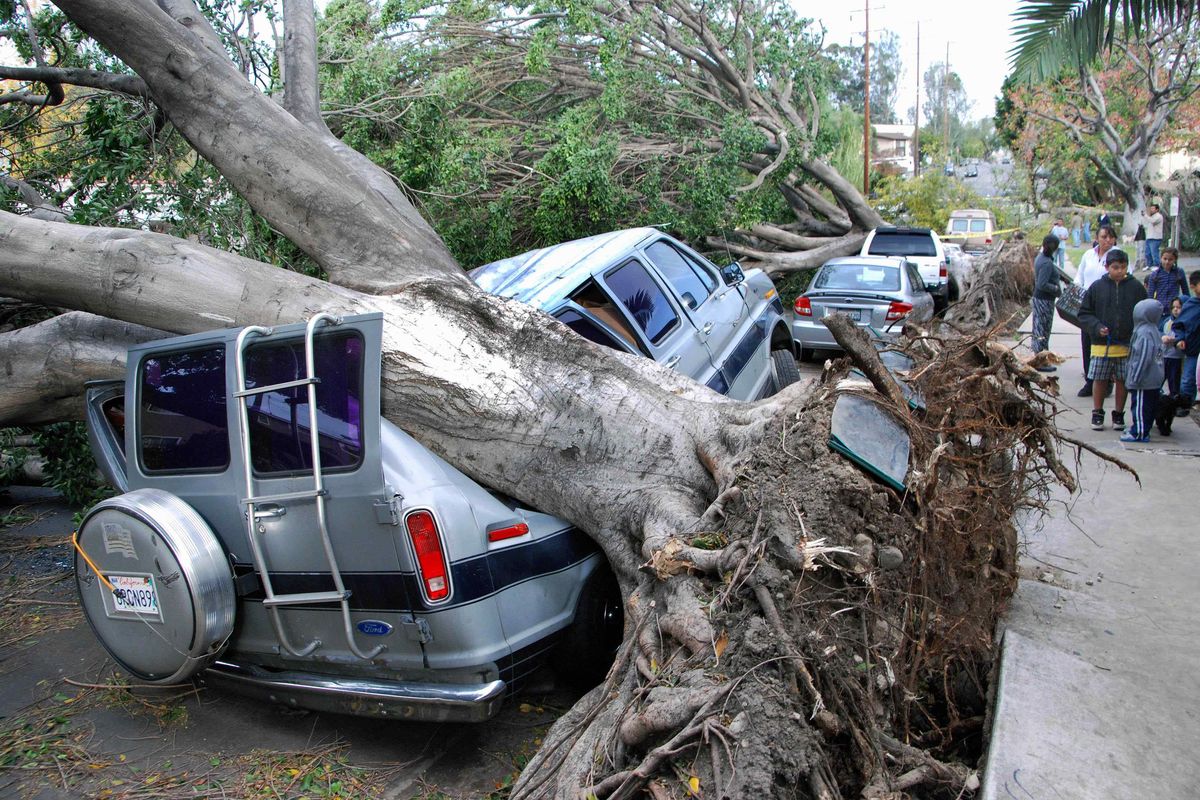 A van parked in the Highland Park section of Los Angeles and another car are shown damaged by trees early Thursday as high Santa Ana winds up to 50 and 60 mph tore through the Southland. (Associated Press)