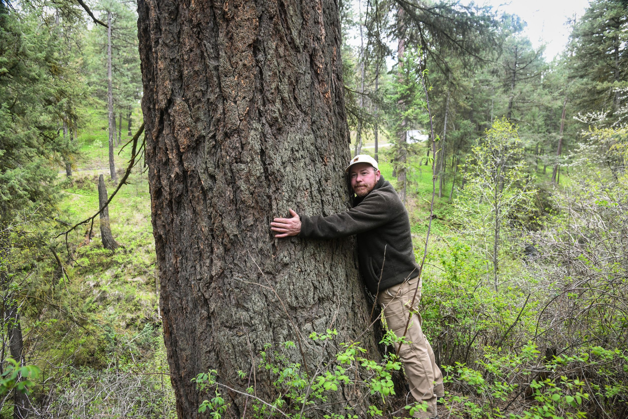 Spokane's most unique and historic trees May 7, 2019 The Spokesman