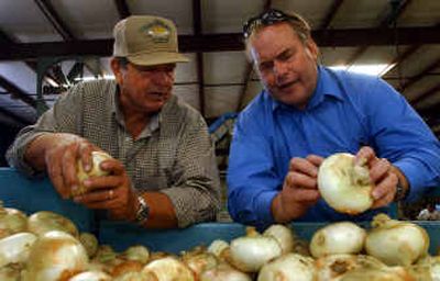 
Vidalia onion grower R. T. Stanley, left, and National Onion Labs President David Burrell inspect Stanley's latest crop of jumbo onions on Wednesday in Vidalia, Ga. For a price of $60 to $100 an acre, National Onion Labs says it can determine with 95-percent accuracy the sweetness of a farmer's entire crop using lab tests. 
 (Associated Press / The Spokesman-Review)
