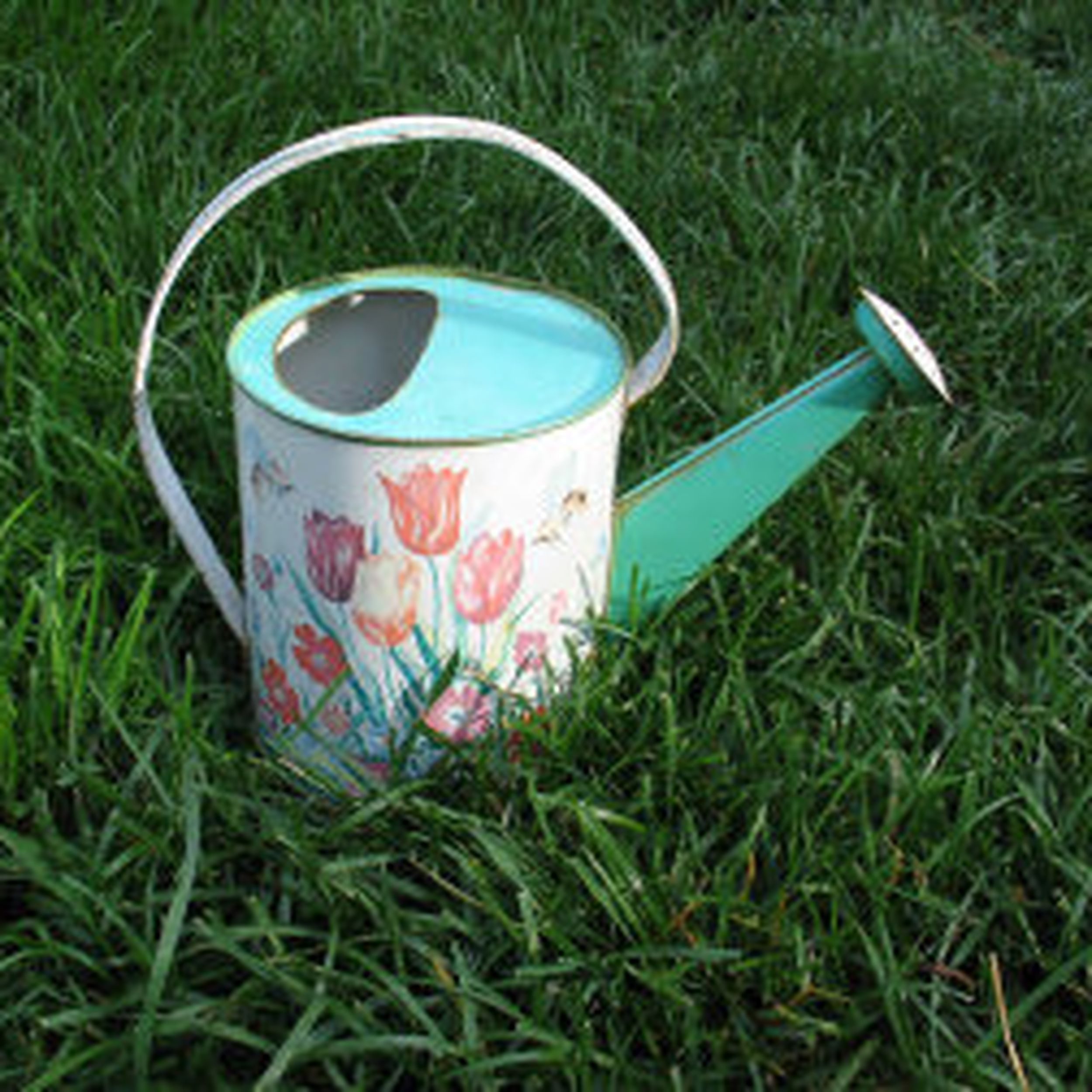 1970's Vintage Rare Ohio Art tin toy watering can