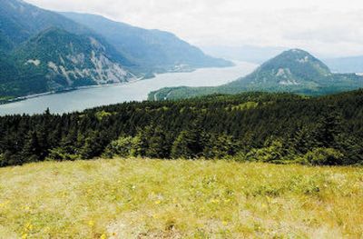 
This view from Dog Mountain, in Stevenson, Wash., looks down on the Columbia River Gorge. Friends of the Columbia Gorge offer free, guided hikes that show off the springtime wildflowers, waterfalls and heart-stopping scenery each weekend.. 
 (Associated Press / The Spokesman-Review)