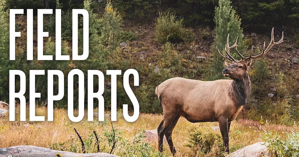 English Point trails in North Idaho are back open | Field Reports