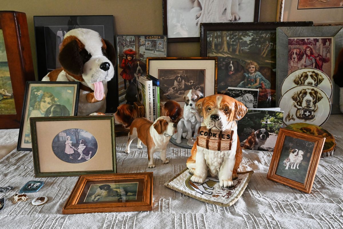 Ruth Brocklebank has owned six Saint Bernards. Over the years, she’s collected items including ceramics, books and stuffed animals that reflect her love of the breed.  (COLIN MULVANY/THE SPOKESMAN-REVIEW)