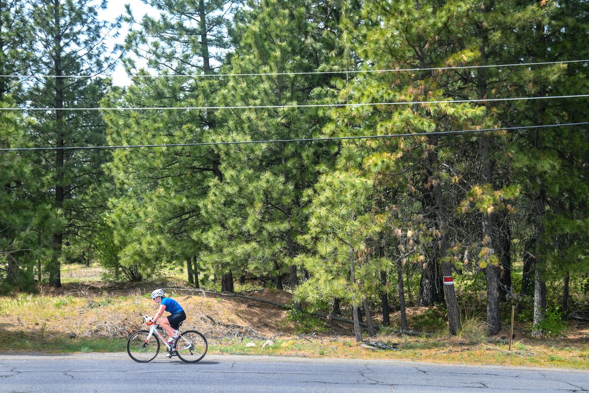 A road cyclist pedals south on the 5300 block of Freya Street on Thursday. The Spokane City Council turned down a request to allow multifamily housing at the southwest corner of South Palouse Highway and Freya Street.  (Dan Pelle/THE SPOKESMAN-REVIEW)