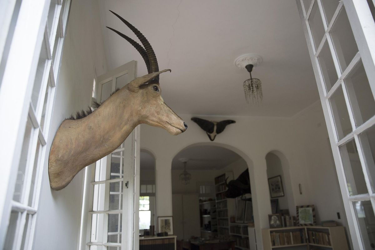 Inside Ernest Hemingway’s home at Finca Vigia in San Francisco de Paula, near Havana, Cuba, on April 24, 2015. (Brian van der Brug / TNS)