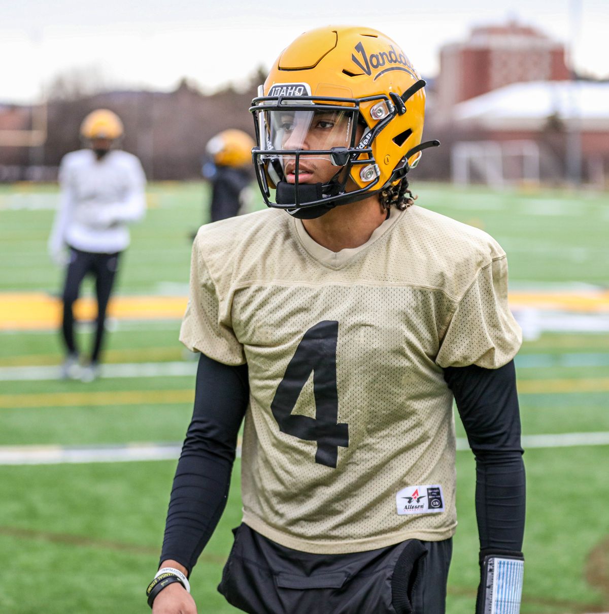 American football players walking on field stock photo - OFFSET