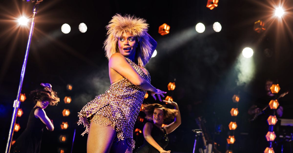 Playing Tina Turner in jukebox musical reminds actor Darilyn Burtley to shine bright