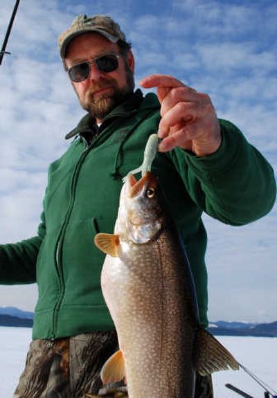 
Non-native lake trout are permanent residents in North Idaho after being introduced in 1925. Horner has spent much of his career trying to define their role in Panhandle fisheries. He's also devoted considerable time to catching them.
 (The Spokesman-Review)