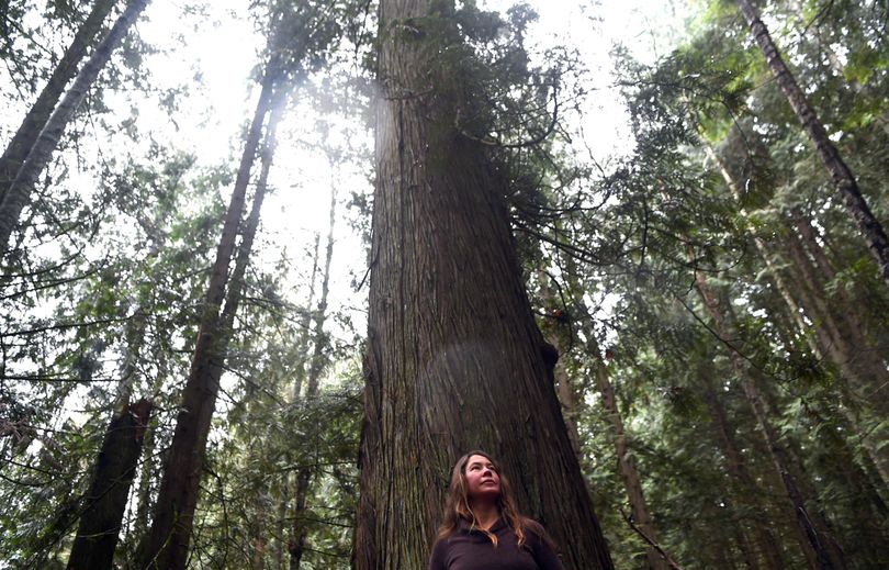 Ali Hakala is upset with the decision by Idaho Fish and Game to start logging a grove of old cedar trees near her Pack River home. (Kathy Plonka / The Spokesman-Review)