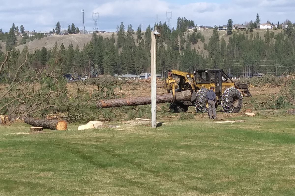 Felled trees are removed from the former Sun Dance Golf Course, seen from the back deck of Alyce Kunze’s home.  (Courtesy of Alyce Kunze)