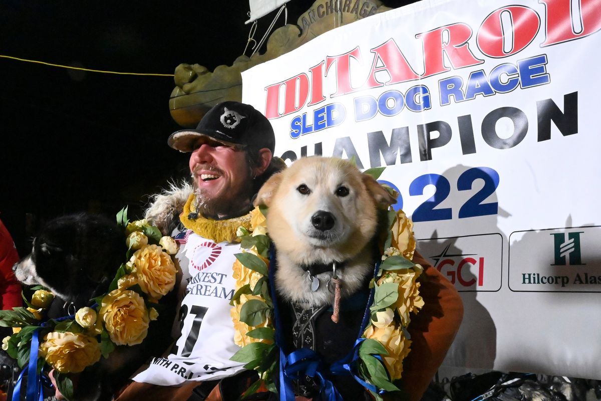 Iditarod winner Brent Sass poses for photos Tuesday with lead dogs Morello, left, and Slater in the finish chute of the Iditarod Trail Sled Dog Race in Nome, Alaska.  (Anne Raup)