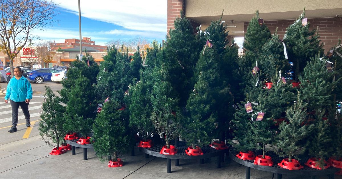 Expect to pay more for Christmas trees, experts say The SpokesmanReview