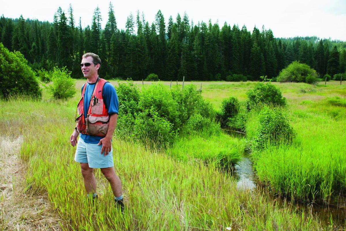 Angelo Vitale is the project supervisor overseeing cutthroat-habitat restoration. (Jillian Wilson / Down to Earth NW)