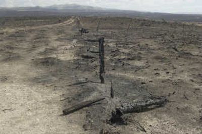 
Fence posts lay broken next to a dirt road that leads south on the charred landscape of south central Idaho on the east flank of the Murphy Complex of fires late last week. Associated Press
 (File Associated Press / The Spokesman-Review)