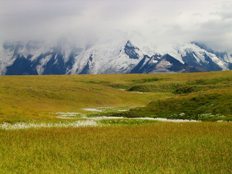 Wrangell-St Elias National Park and Preserve was among the 10 national parks created in 1980 by the Alaska National Interest Lands Conservation Act. (Erin McKittrick / Ground Truth Trekking)