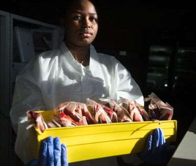 Grace Ndayizeye holds a tray of one month’s worth of blood for an exchange transfusion at Inland Northwest Blood Center in Spokane on April 18. Ndayizeye has sickle cell anemia and needs a bone marrow transplant to cure the disease. (Tyler Tjomsland / The Spokesman-Review)