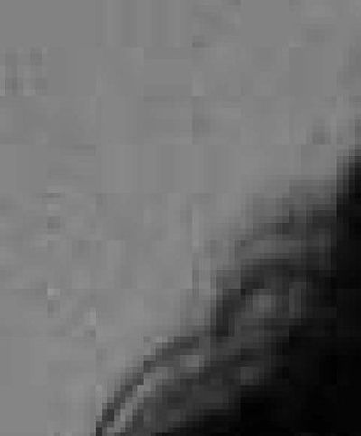 
Lewis
 (The Spokesman-Review)