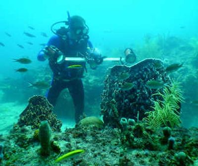 
In this photo released by National Oceanic and Atmospheric Administration's National Marine Sanctuary Program, NOAA marine science coordinator Dr. Steve Gittings photographs a sponge near the Aquarius Reef Base habitat in the Florida Keys National Marine Sanctuary.Associated Press photos
 (Associated Press photos / The Spokesman-Review)