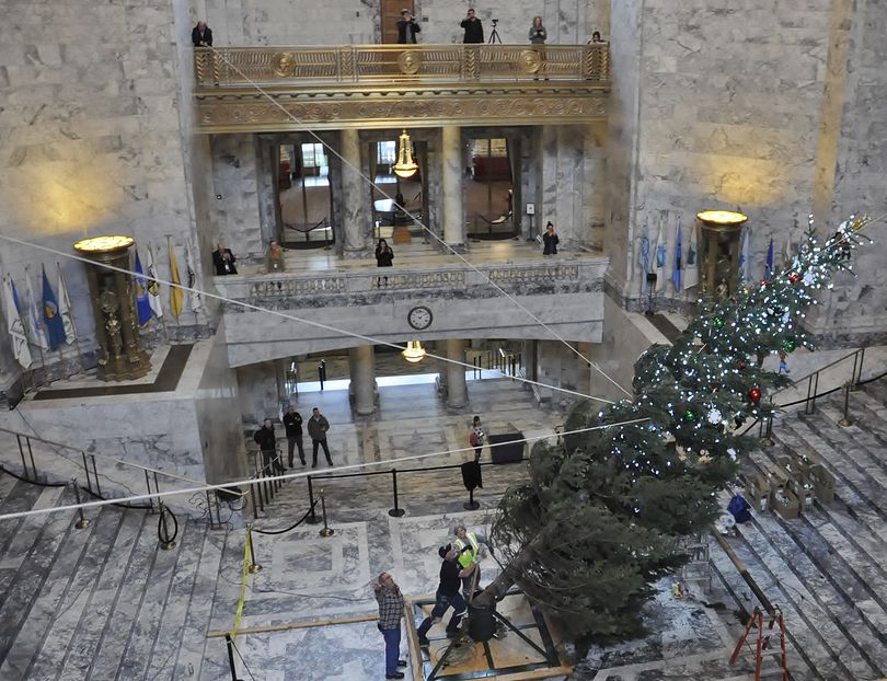 OLYMPIA -- This year's Holiday Kids' Tree gets hoisted into the stand in the domed Legislative Building Tuesday afternoon. (Jim Camden/The Spokesman-Review)