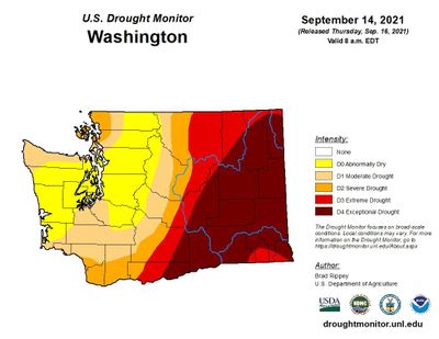 Spokane got more precipitation Saturday than it's gotten since January, but the weekend rains won't be nearly enough to make a major dent in the exceptional drought Eastern Washington's facing.   (U.S. DROUGHT MONITOR)