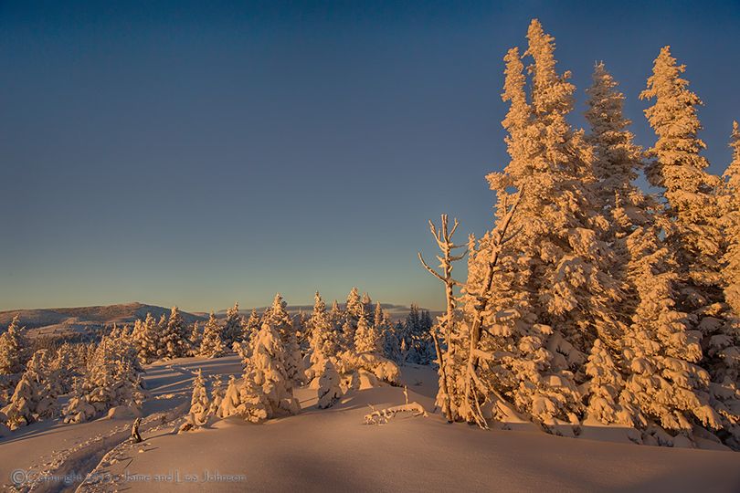 Snowshoers tracks near Rogers Pass, Mont., in below-zero temperatures. (Jaime Johnson)