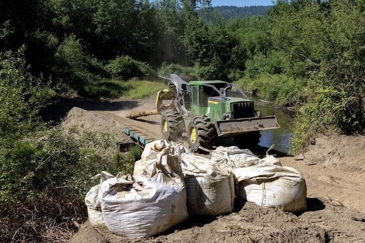 Through Aug. 15, the Mountains to Sound Greenway Trust will install more than 400 logs in Issaquah Creek in Lake Sammamish State Park as part of its in-stream restoration project.  (Nick Wagner/Seattle Times)