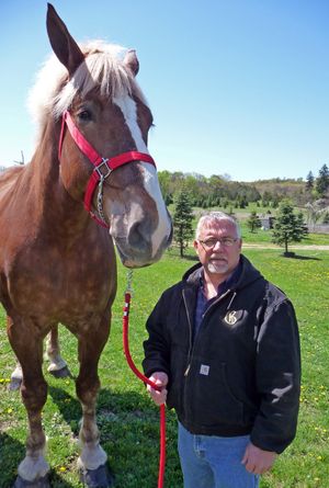 In this April 27, 2010 photo, Jerry Gilbert stands next to Big Jake, the Guinness World Record-holder for world's tallest living horse at nearly 6-foot-11, at the Smokey Hollow Farm near Poynette, Wis. (Carrie Antilfinger / Associated Press)