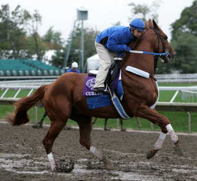 
Preakness winner Curlin prepares Thursday for the Breeders' Cup Classic. Associated Press
 (Associated Press / The Spokesman-Review)