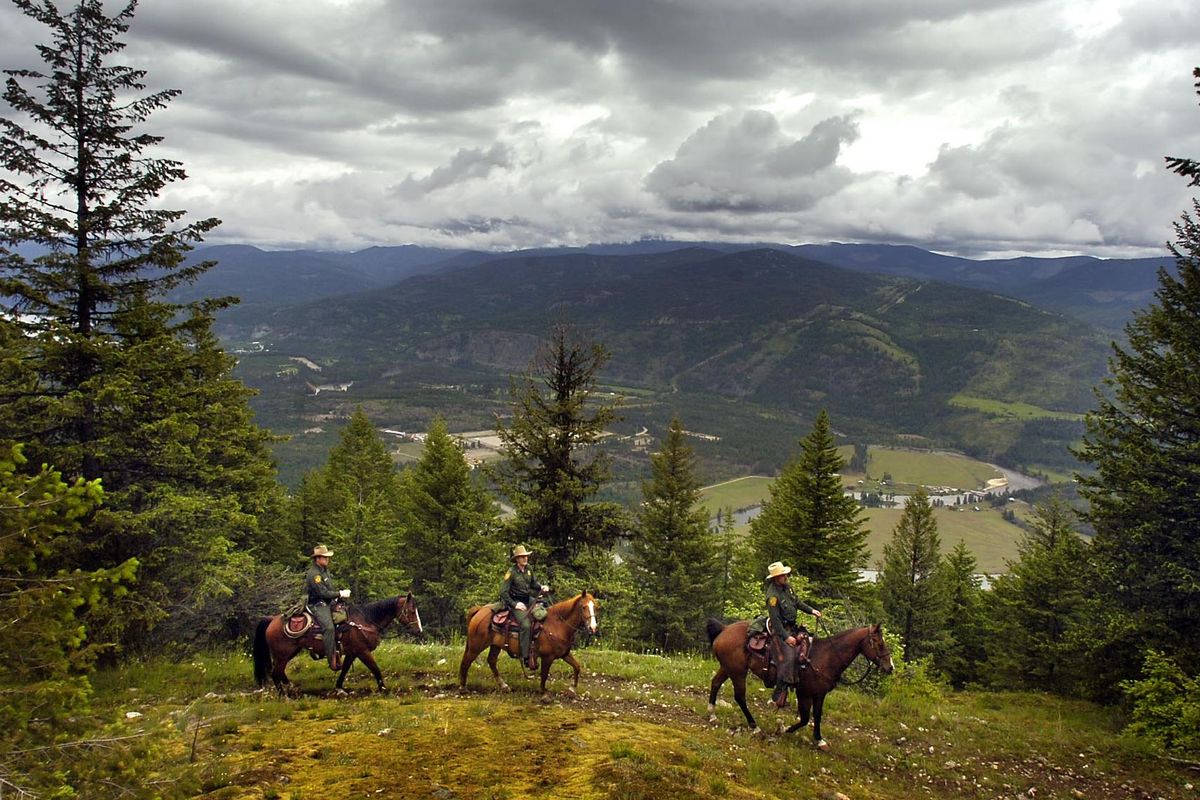 Agent Joe McCraw (lead horse), Captain Gary Roman (center), and agent Allen Foraker of the U.S. Border Patrol conduct a backcountry horse patrol on Owl Mountain less than a mile from the Canadian border on Monday June 5, 2006. New statistics from U.S. Customs and Border Protection show the number of people apprehended along the U.S. border with Canada is continuing to climb. (Jed Conklin / The Spokesman-Review)