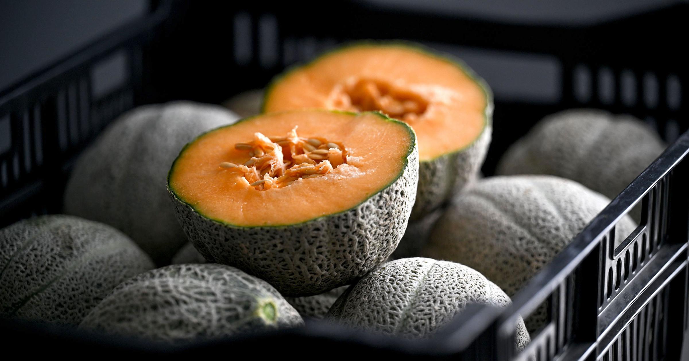 Hearts of Gold cantaloupes return flavor and nostalgia to Spokane Valley