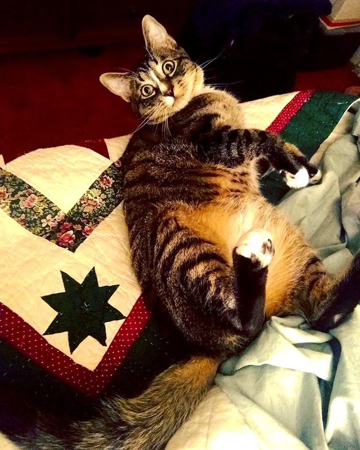 The morning after a long, sleepless night May 30, Walter Scott is not one bit repentant.  (Cindy Hval)