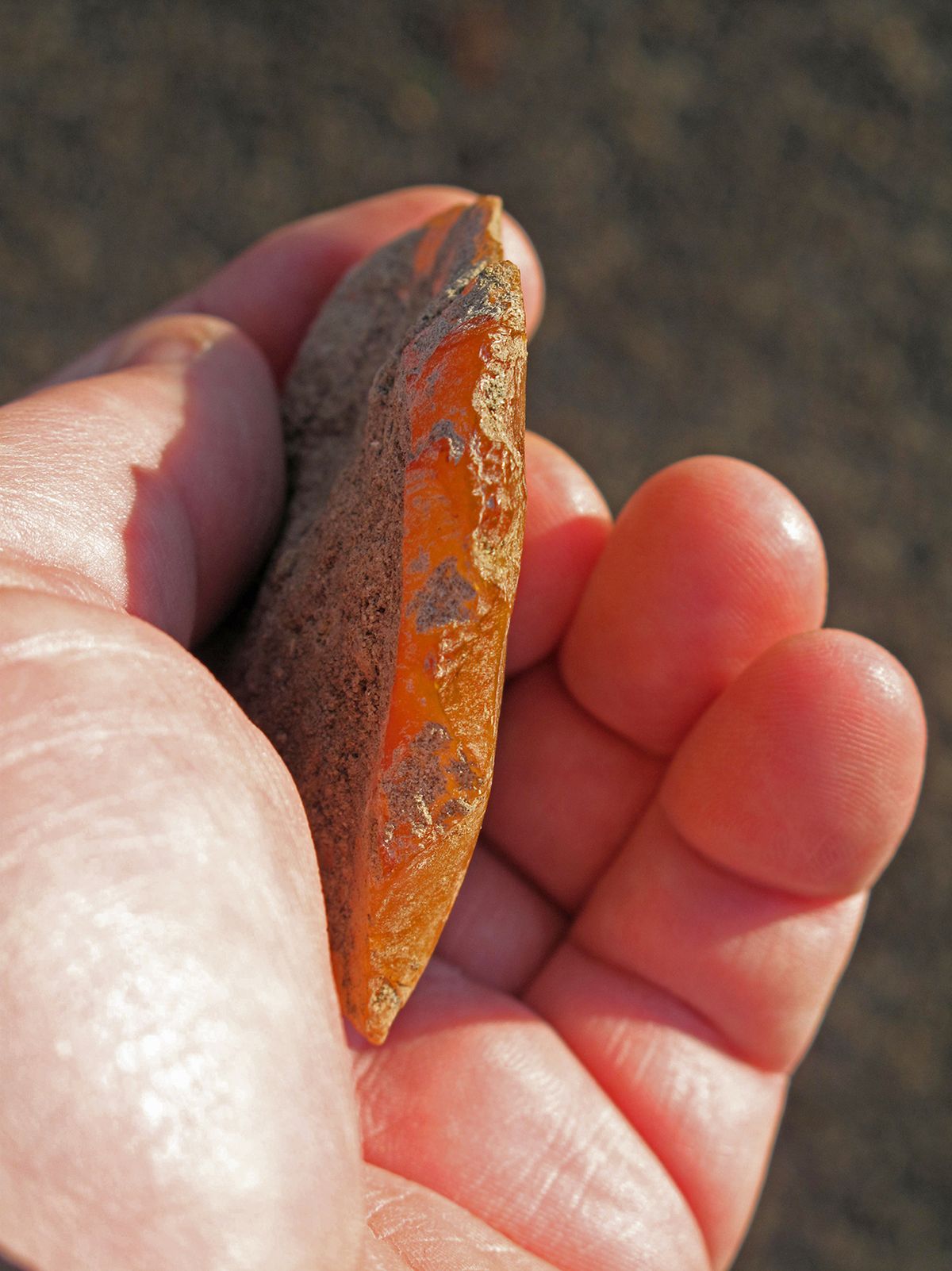 This photo shows a scraper chipped out of agate found at an ancient rock shelter. (Associated Press)