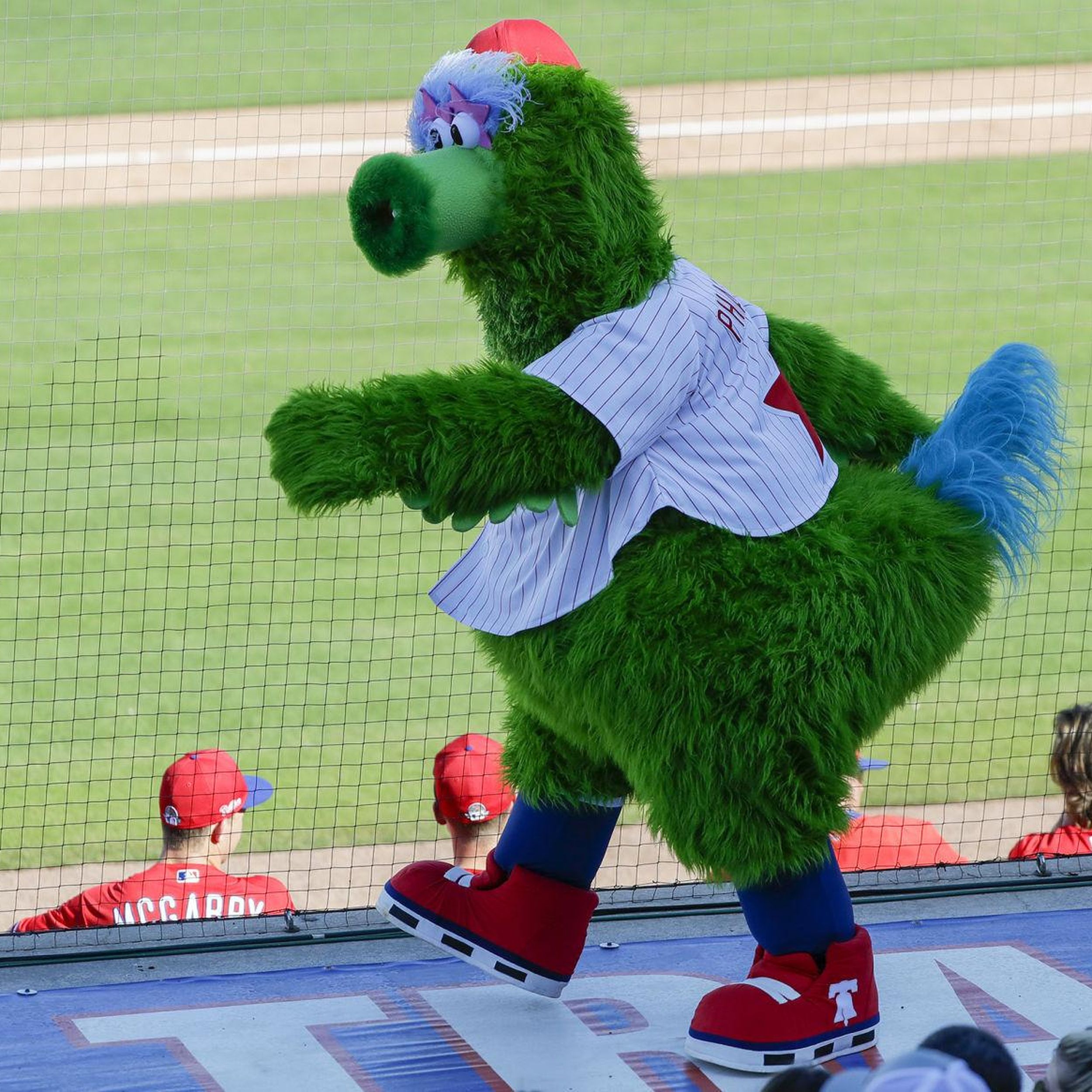 Phillies Phanatics wanted for World Series story, readers share your story