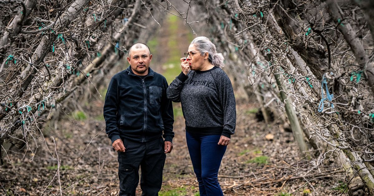 Six years later, COVID symptoms linger for many Latino farmworkers in Washington