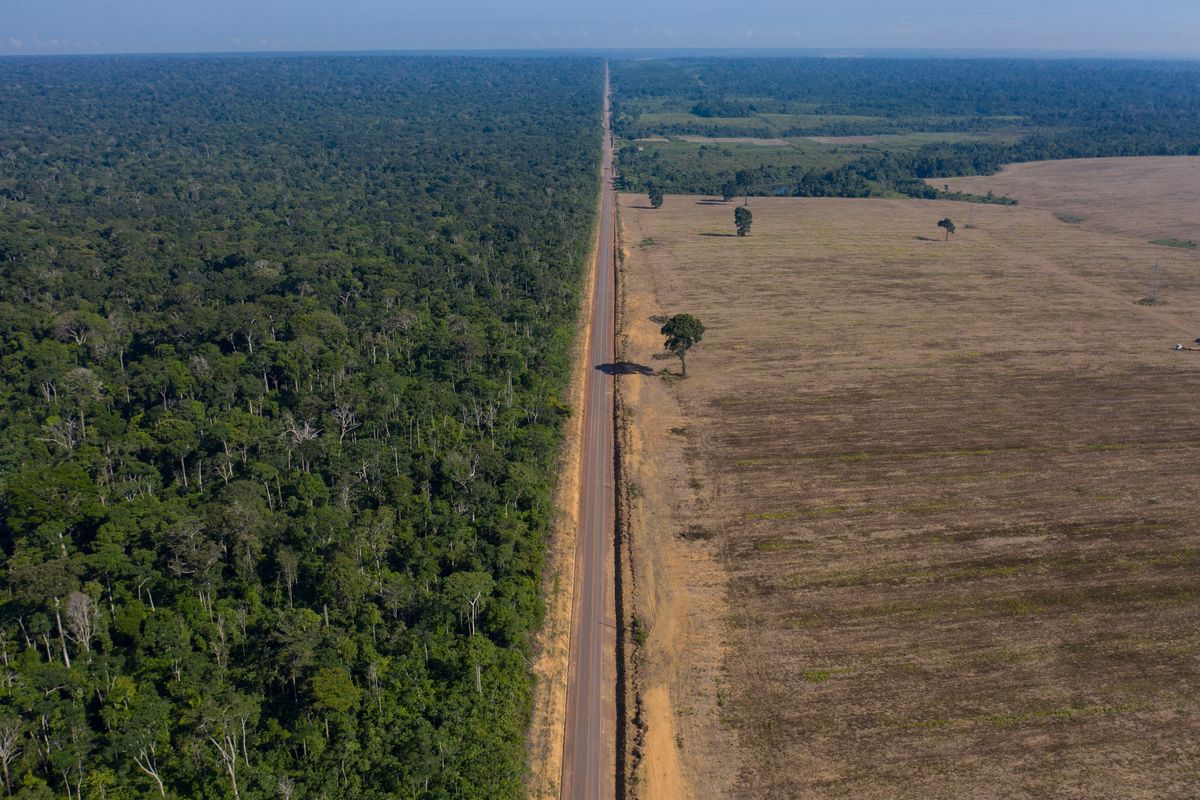 Highway BR-163, seen Nov. 25, 2019, stretches between the Tapajos National Forest, left, and a soy field in Belterra, Para state, Brazil.  (Leo Correa)