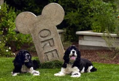 
Aramis, left, and Boonie sit next to a stone bone made in memory of the Fairhurst's dog, Oreo. 
 (Liz Kishimoto / The Spokesman-Review)