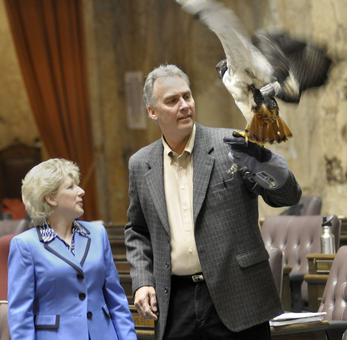 Rep. Shelly Short, R-Addy, meets Taima the Seattle Seahawks mascot and his owner/trainer David Knutson on the floor of the state House of Representatives. (Jim Camden)